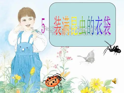 5装满昆虫的衣袋课件