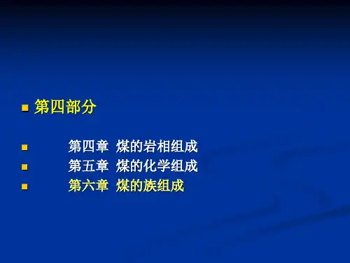 第六章 煤的族组成