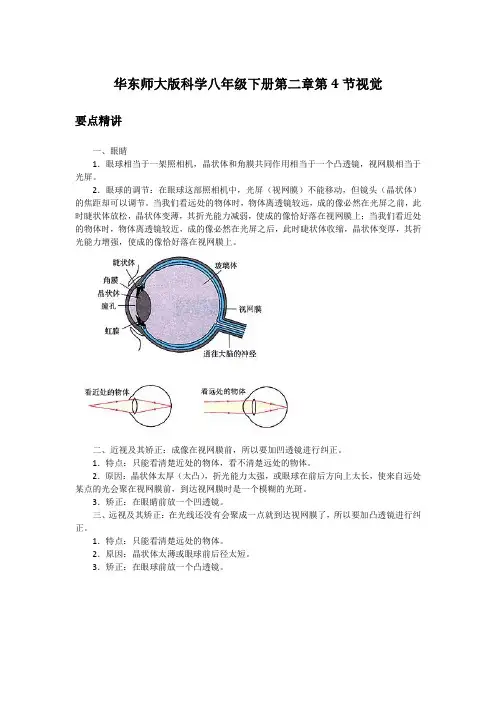 初中科学备课参考 视觉