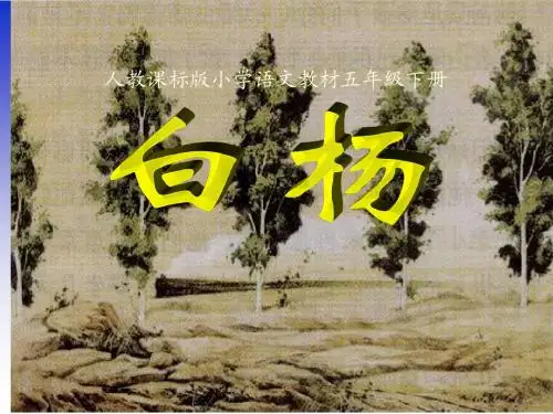 3白杨