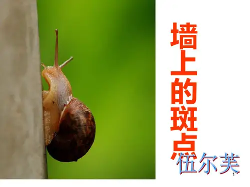 《墙上的斑点》PPT课件