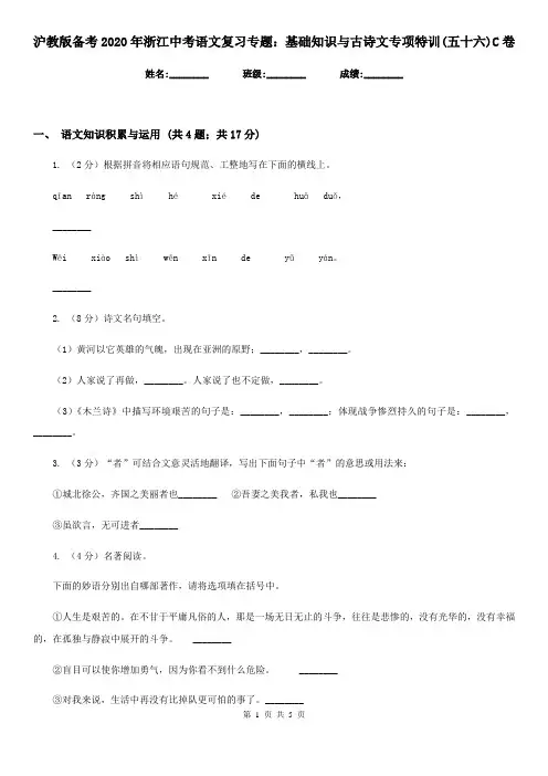 沪教版备考2020年浙江中考语文复习专题：基础知识与古诗文专项特训(五十六)C卷