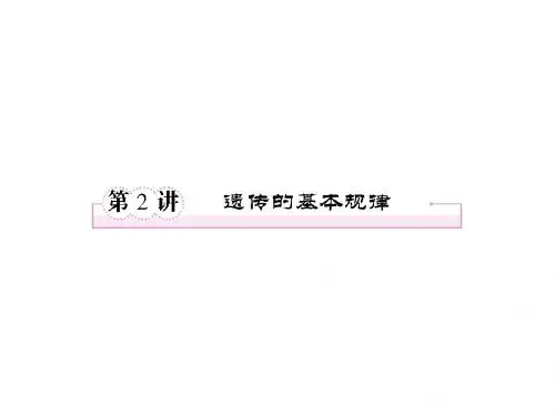 2013年高考生物总复习重点精品课件： 遗传的基本规律
