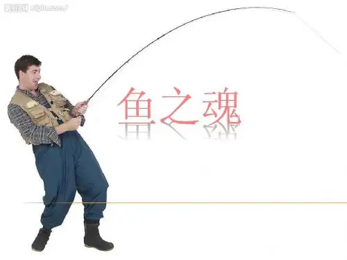 初学钓鱼指南