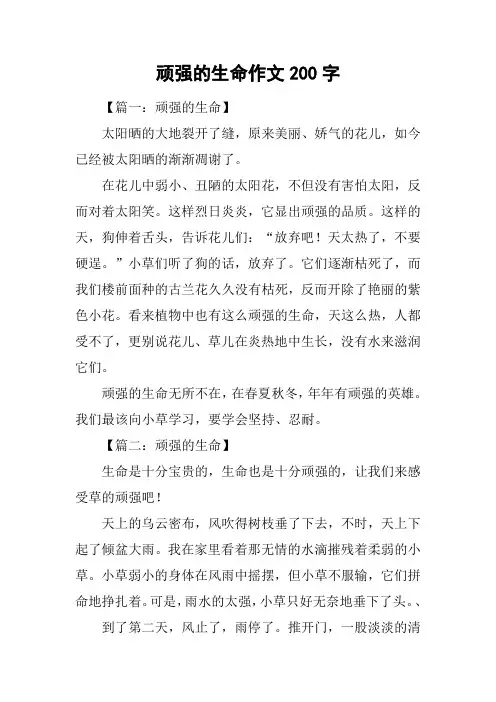 顽强的生命作文200字