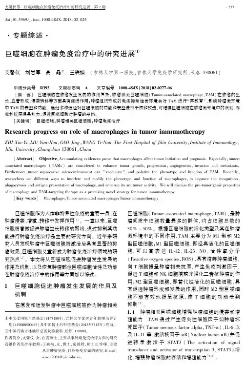 巨噬细胞在肿瘤免疫治疗中的研究进展