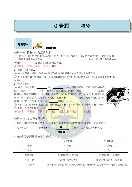中考科学专题复习：生物的物质转化和能量循环