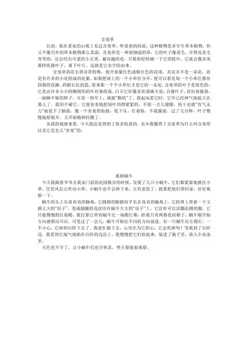 观察含羞草 作文
