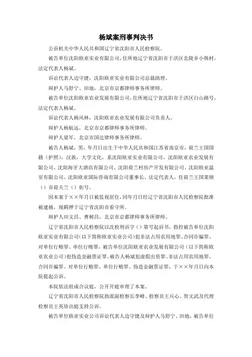 最新-杨斌案刑事判决书 精品