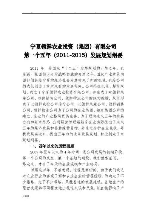 集团公司五年发展规划报告