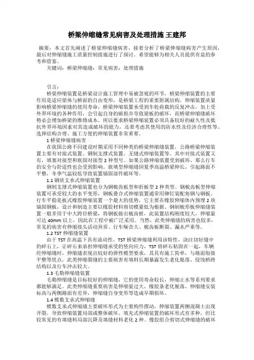 桥梁伸缩缝常见病害及处理措施 王建邦