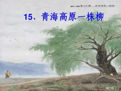 苏教版小学语文六年级上册《青海高原一株柳》 课件