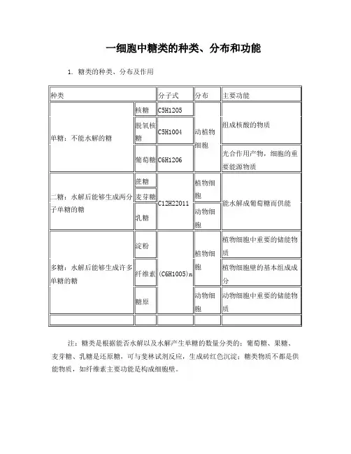 高三复习生物第一轮复习细胞中的有机物----糖类脂类和核酸