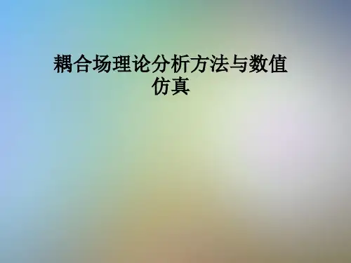 耦合场理论分析方法与数值仿真