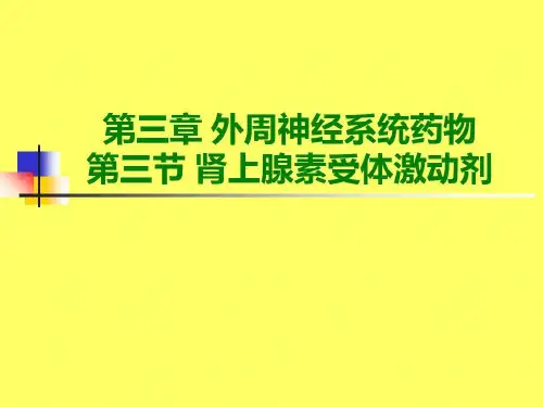 药物化学肾上腺素受体激动剂29页PPT