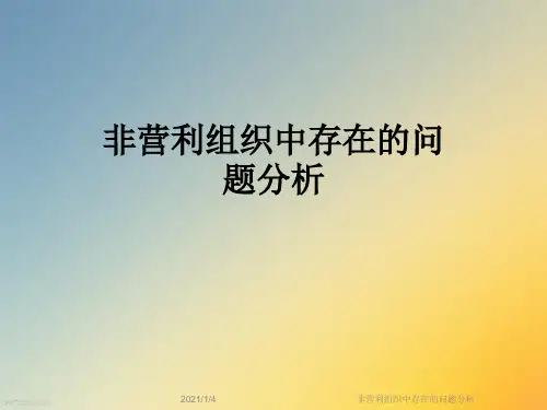 非营利组织中存在的问题分析