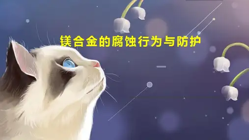 镁合金的腐蚀行为与防护