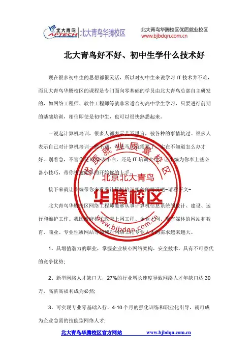 北大青鸟好不好、初中生学什么技术好