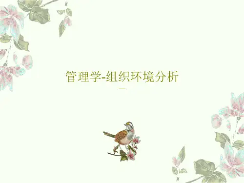 管理学-组织环境分析40页PPT