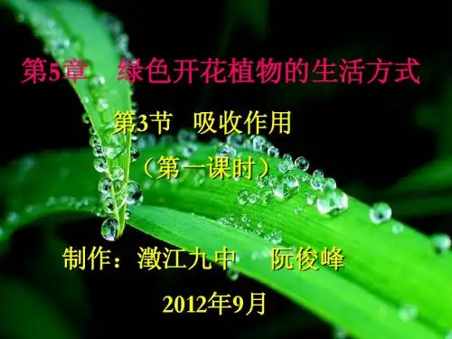 5.3 吸收作用