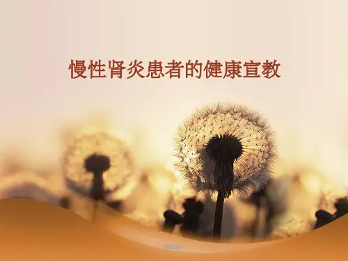 慢性肾炎患者的健康宣教