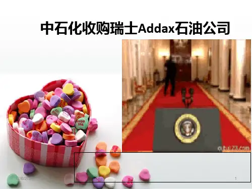 《跨国并购案例分析》PPT课件