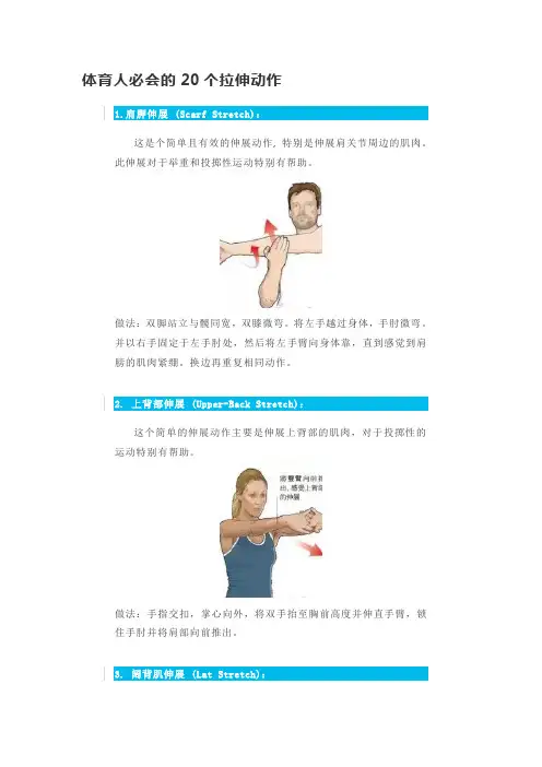 体育人必会的20个拉伸动作
