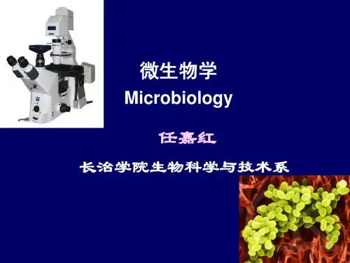 微生物 绪论-生物技术