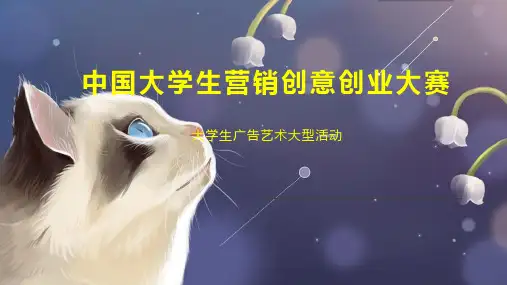 中国大学生营销创意创业大赛