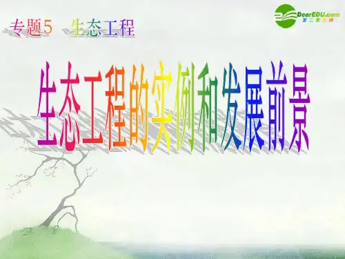 高中生物52《生态工程的实例和发展前景》(3)新人教版选修3PPT课件
