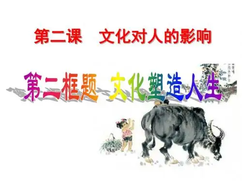 高二政治文化塑造人生