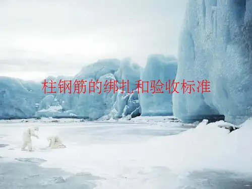 柱钢筋的绑扎和验收标准ppt课件