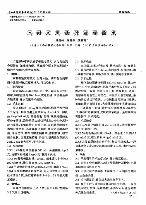 二例犬乳腺肿瘤摘除术