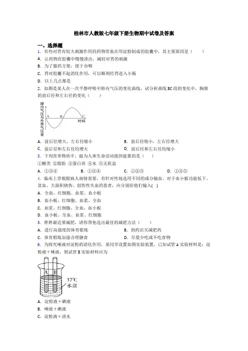 桂林市人教版七年级下册生物期中试卷及答案