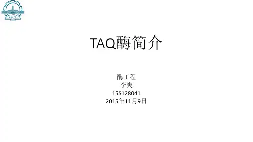 TAQ酶 (2)