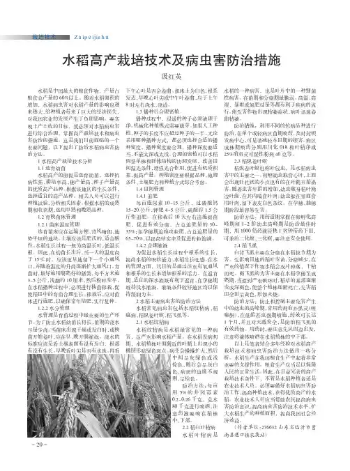 水稻高产栽培技术及病虫害防治措施