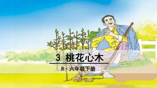 3 桃花心木(精品)