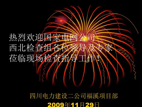 国家电网专项检查汇报材料