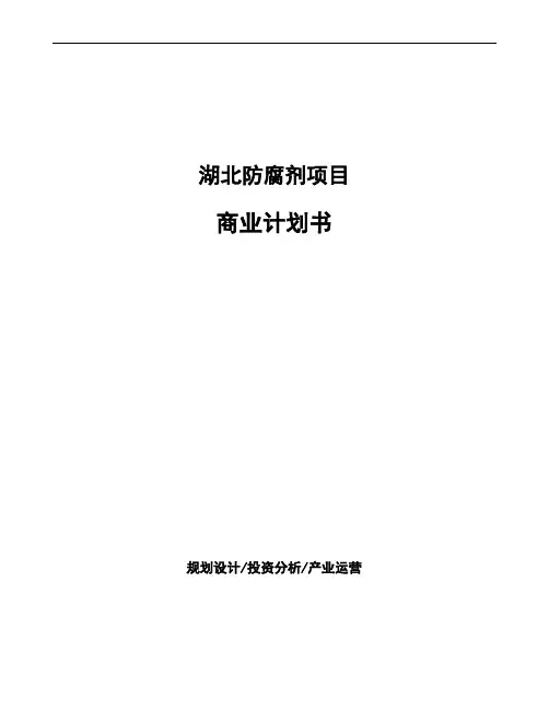 湖北防腐剂项目商业计划书