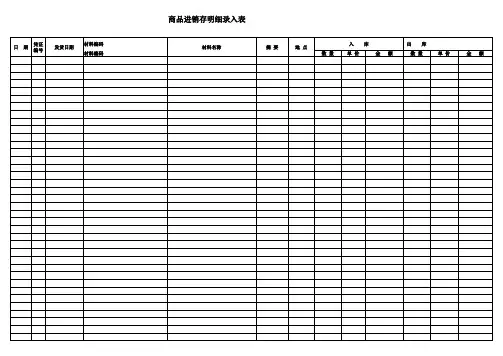 商品进销存明细录入表