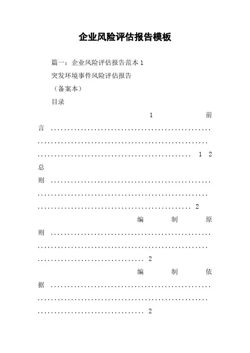 企业风险评估报告模板