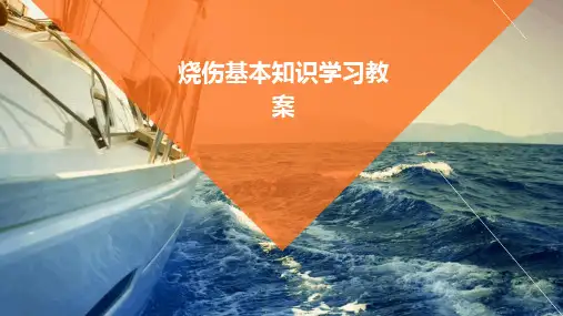 烧伤基本知识学习教案