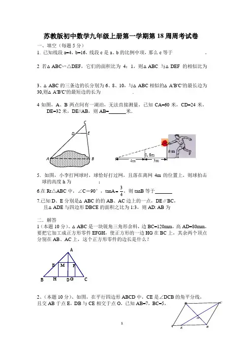 苏教版初中数学九年级上册第一学期第18周周考试卷