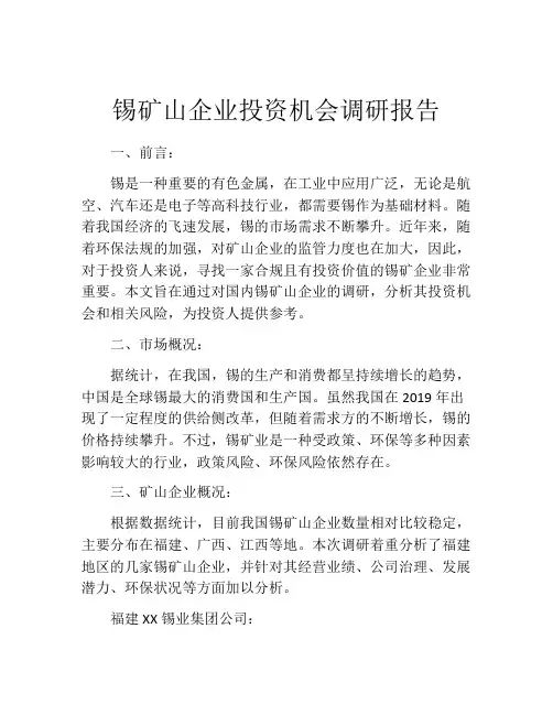 锡矿山企业投资机会调研报告