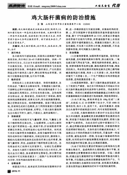 鸡大肠杆菌病的防治措施