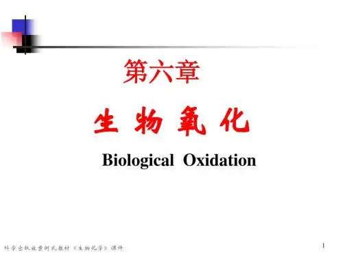第六章 生物氧化