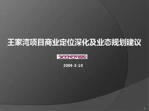 王家湾项目定位深化及业态规划建议.pptx