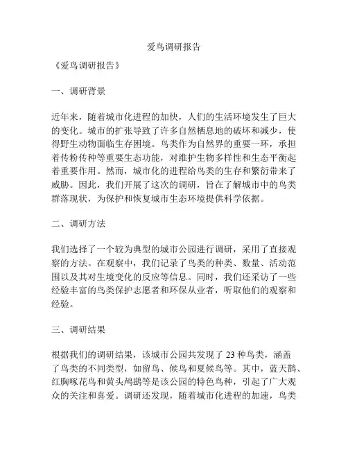 爱鸟调研报告