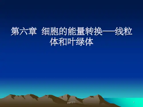 《线粒体与叶绿体》PPT课件