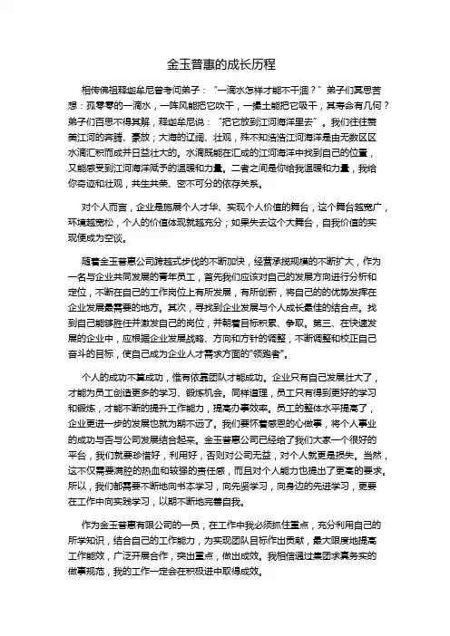 企业的成长历程